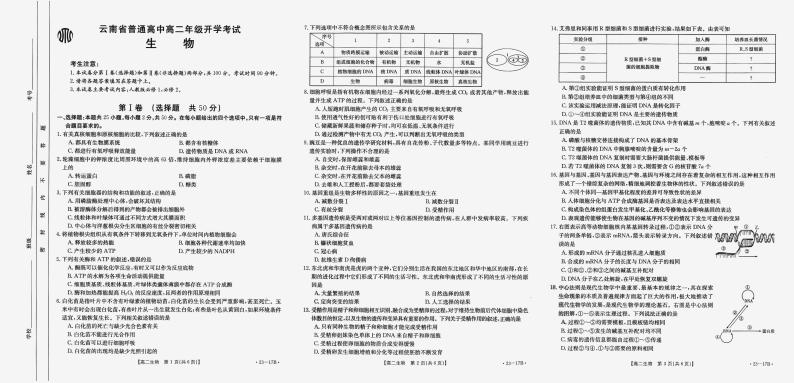 2022-2023学年云南省高二上学期8月开学联考生物试题PDF版含答案01