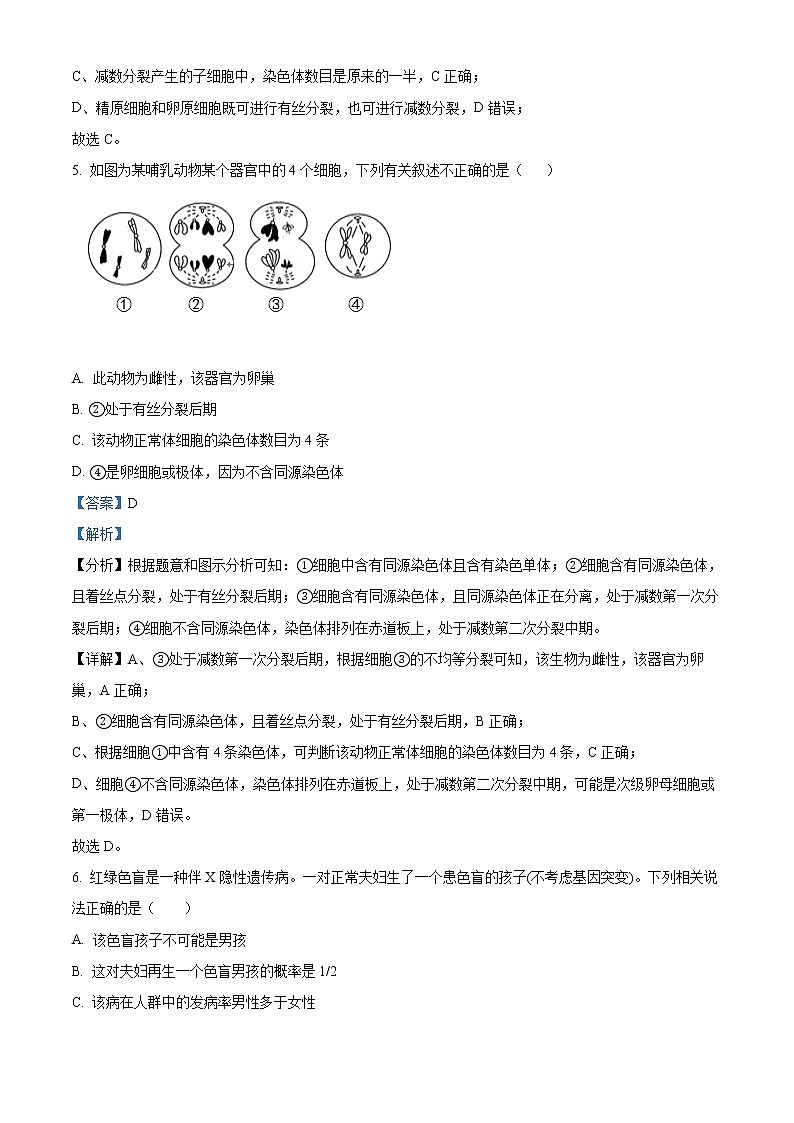 2022宁波北仑中学高一下学期期中考试生物(学考)含解析03