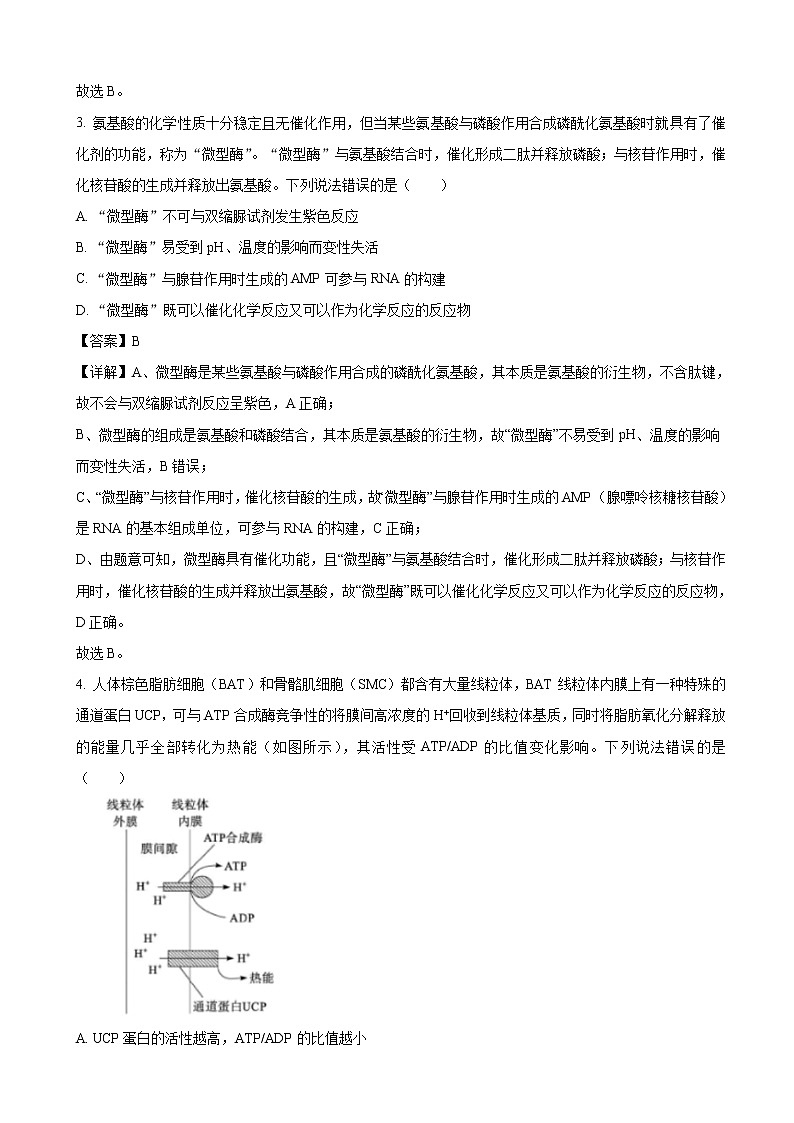 2023届内蒙古赤峰市高三上学期期末模拟考试生物试卷含解析第2页