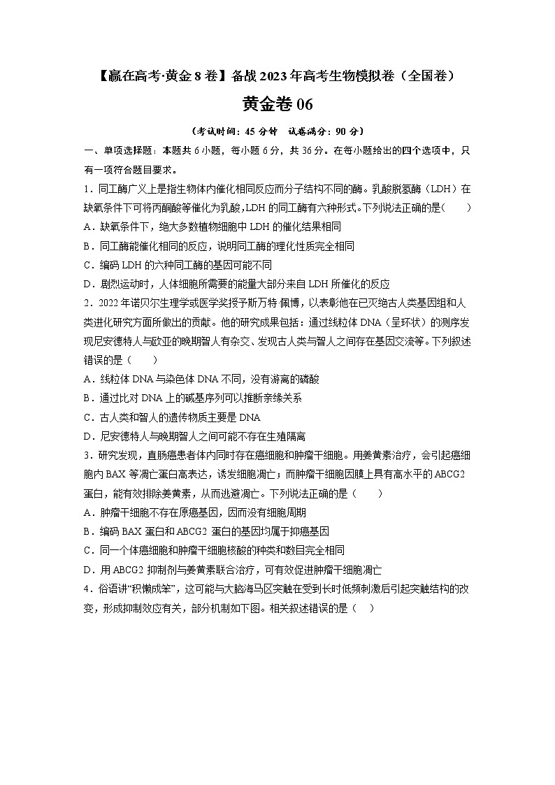 黄金卷06-【赢在高考·黄金8卷】备战2023年高考生物模拟卷(全国卷)(原卷版)第1页