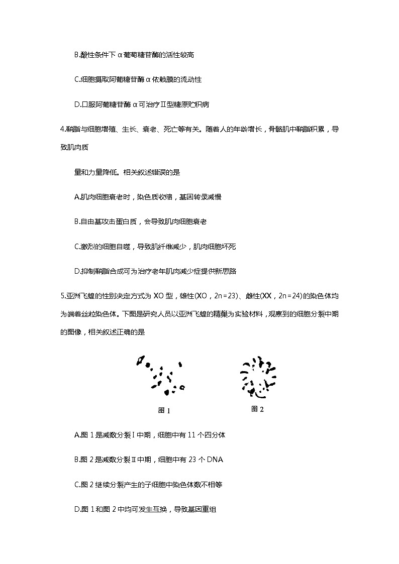 2023届江苏省南通市高三下学期2月第一次调研测试(一模)生物含答案02