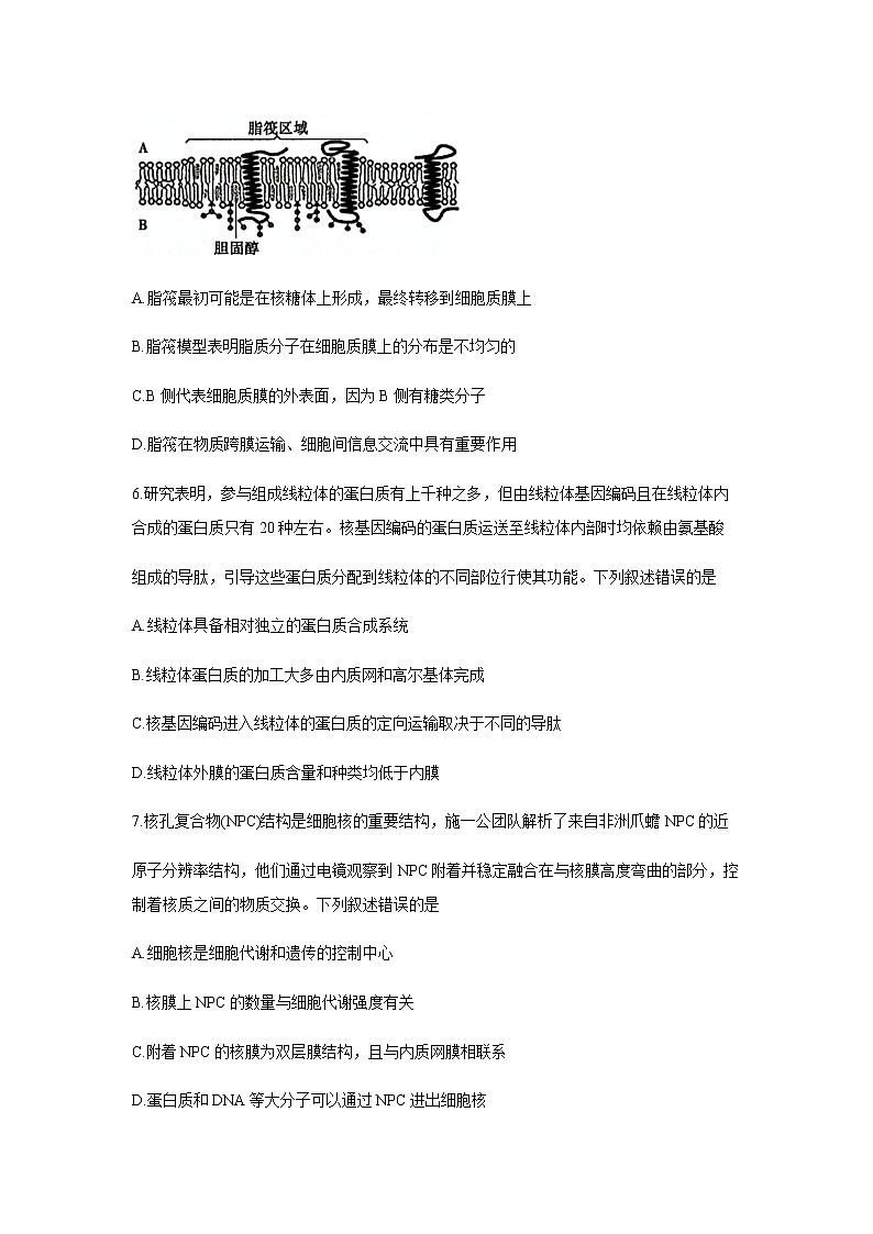 2022-2023学年山东省聊城市高一上学期期末质量抽测生物试题含答案第3页
