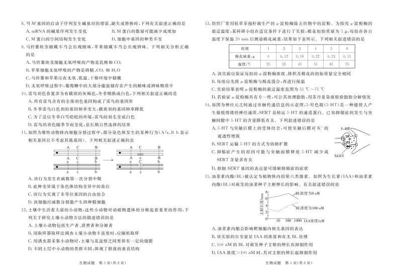 2023湛江高三下学期3月普通高考测试（一）（一模）生物PDF版含解析02