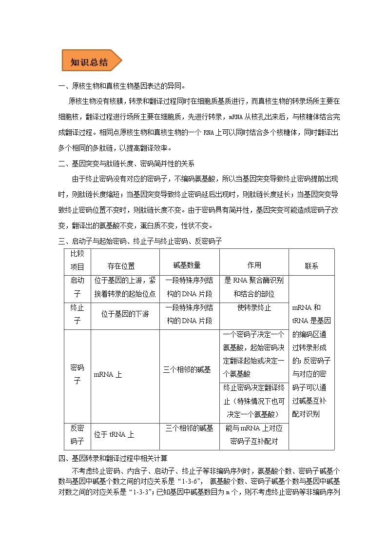 19 关于基因的表达的遗传题——【冲刺2023】高考生物考试易错题（全国通用）（原卷版+解析版）03