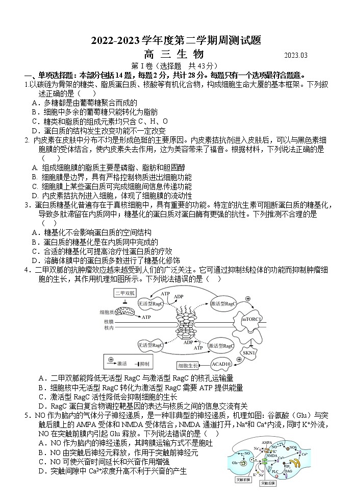 2023扬州中学高三下学期3月月考试题生物含答案第1页