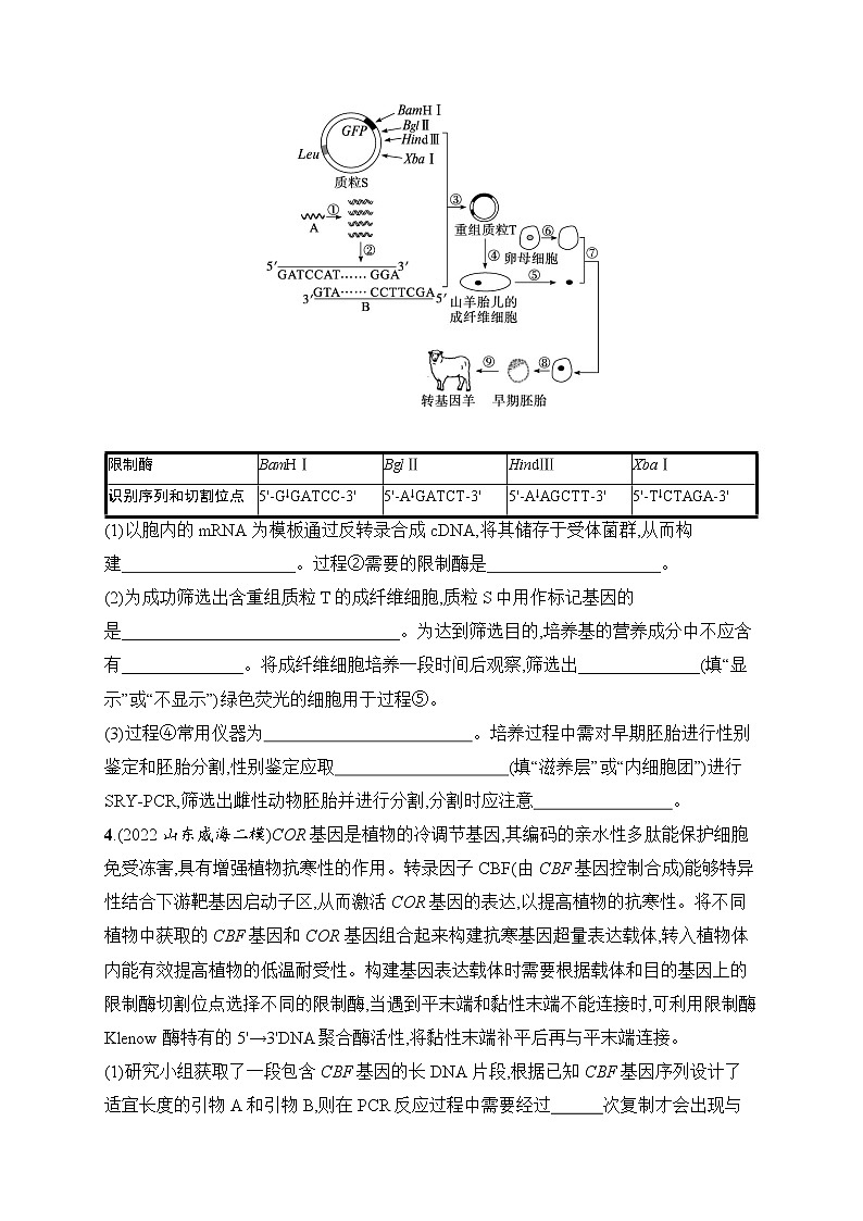 2023届高考二轮总复习试题 生物(适用于老高考新教材) 大题分析与表达练 6.基因工程类大题突破 Word版含解析第3页