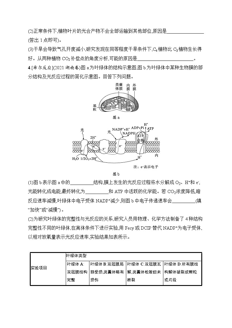 2023届高考二轮总复习试题 生物(适用于老高考新教材) 专题2 细胞代谢 命题篇强化练2 Word版含解析第2页