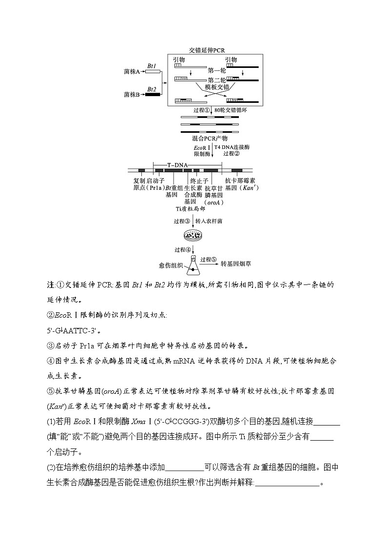 2023届高考二轮总复习试题 生物(适用于老高考新教材) 专题8 生物技术与工程 命题篇强化练10(专项命题一) Word版含解析第3页