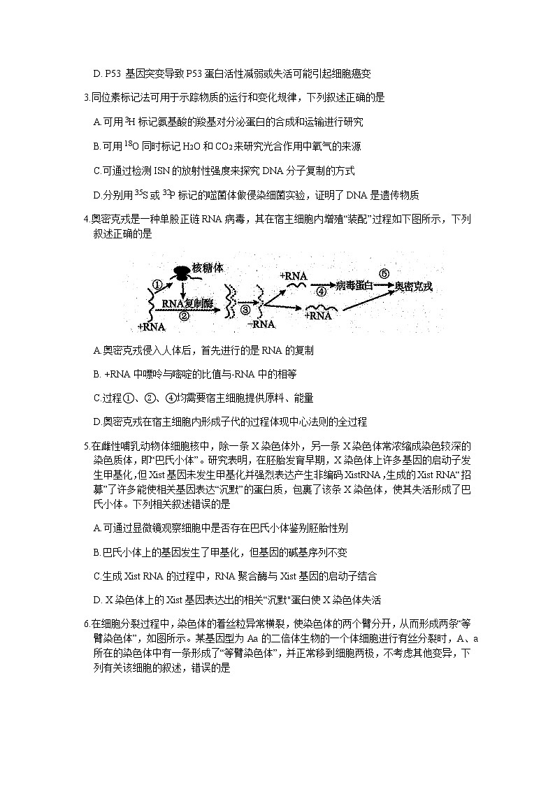 2022-2023学年辽宁省沈阳市高三下学期质量监测(月考)(一)生物试题含答案第2页