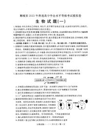 2022-2023学年山东省聊城市普通高中学业水平等级考试模拟（一）生物试题（PDF版）