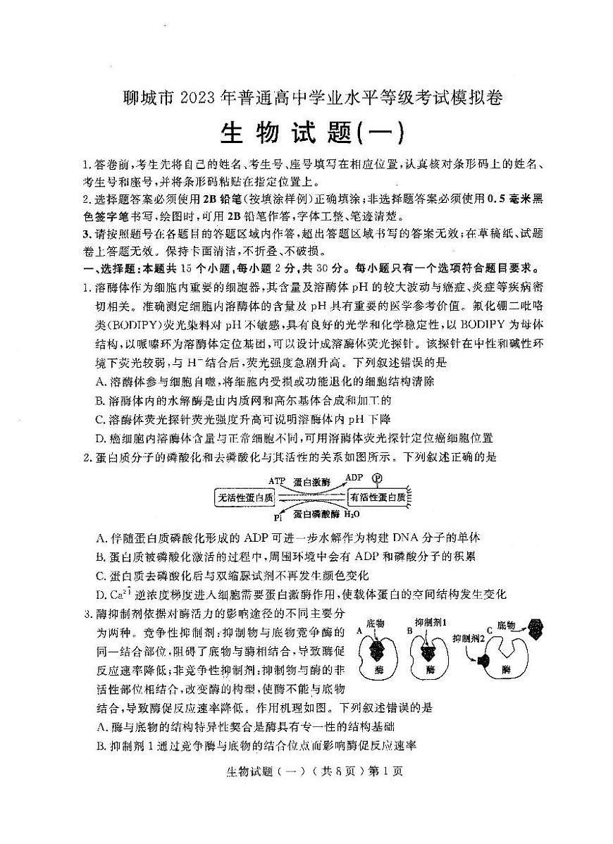 山東省聊城市2022-2023學年普通高中學業(yè)水平等級考試模擬(一)生物試題 PDF版無答案第1頁