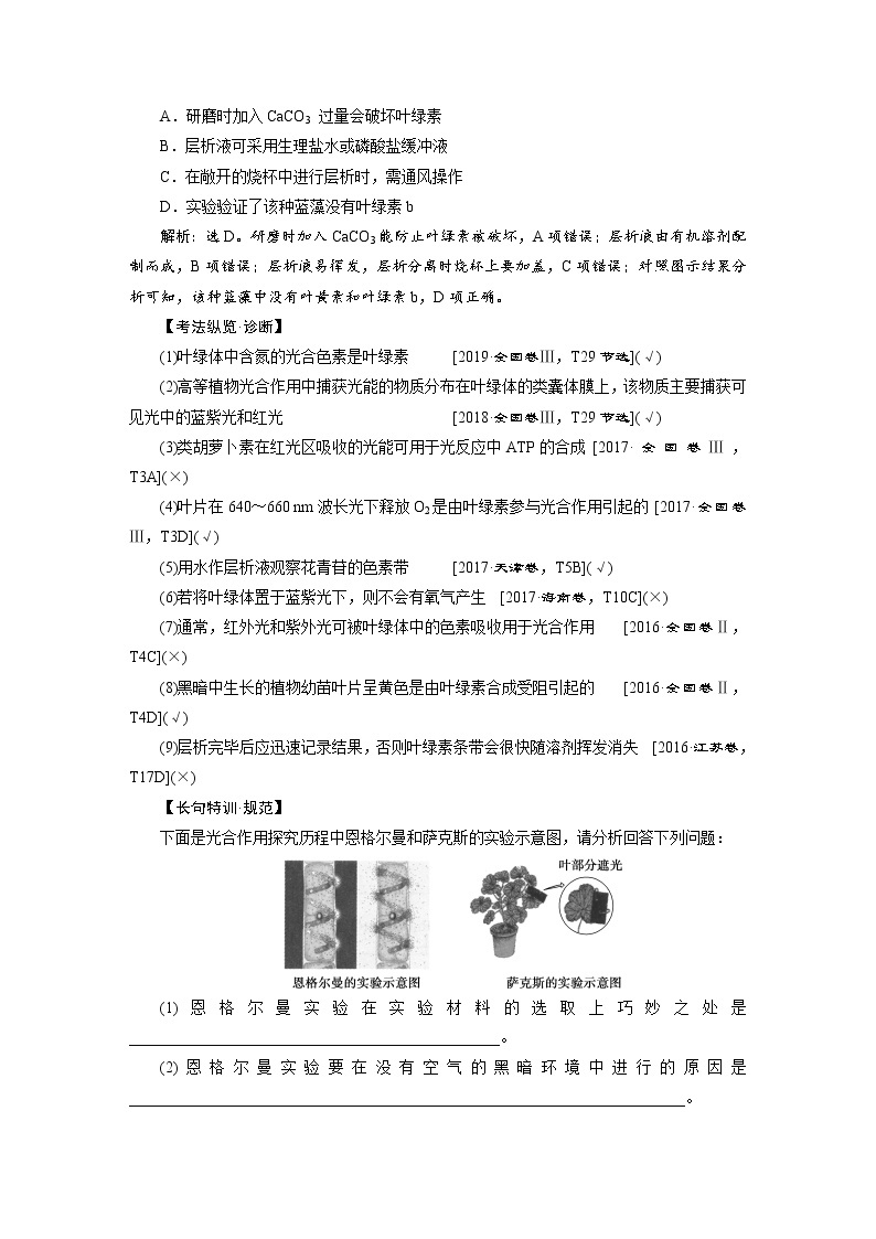 高中生物高考4　第三单元　第10讲　能量之源——光与光合作用 试卷03