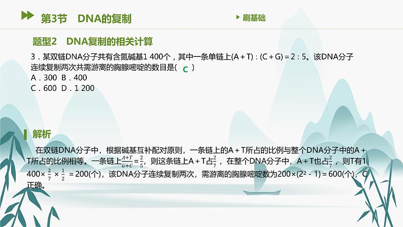 第3章 基因的本质 第3节 DNA的复制课件PPT第4页
