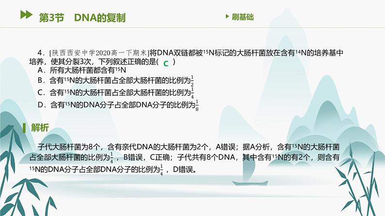 第3章 基因的本质 第3节 DNA的复制课件PPT第5页