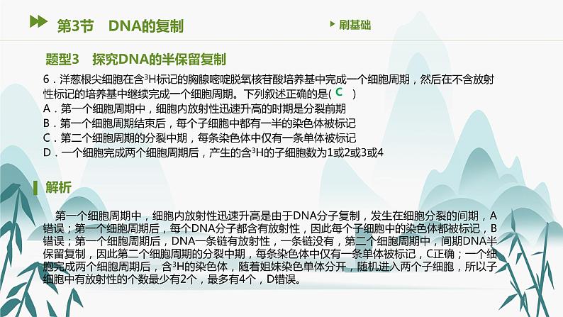 第3章 基因的本质 第3节 DNA的复制课件PPT第7页