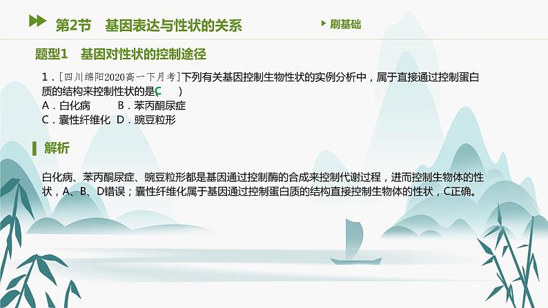 第4章 基因的表达 第2节 基因表达与性状的关系课件PPT第2页