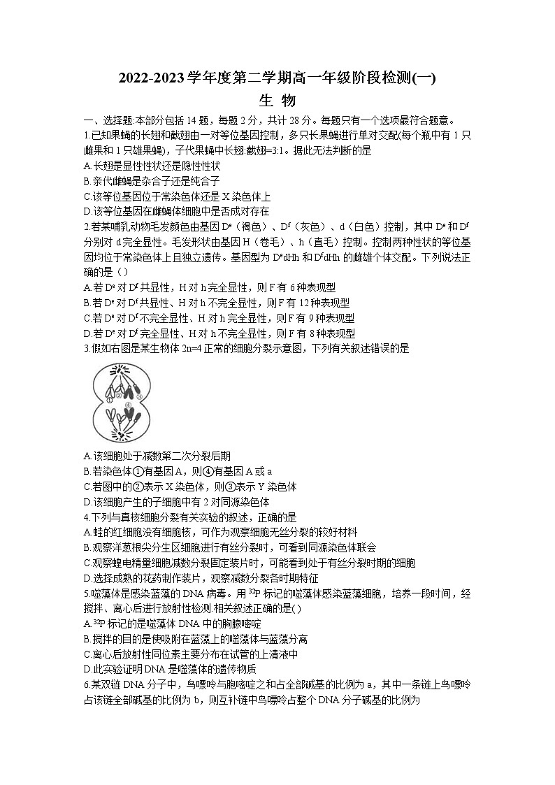 江苏省南通市海安高级中学2022-2023学年高一生物下学期第一次月考试题(Word版附答案)01
