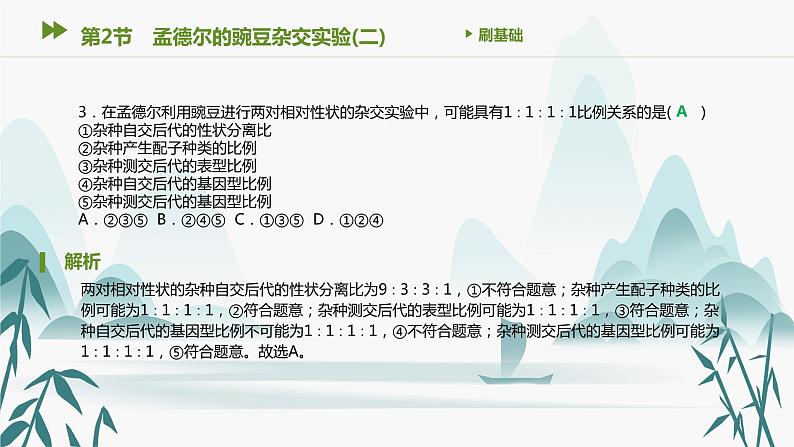 第1章 遗传因子的发现 第2节 孟德尔的豌豆杂交实验(二)课件PPT第5页