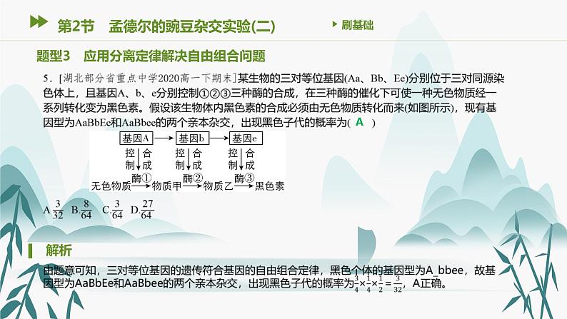第1章 遗传因子的发现 第2节 孟德尔的豌豆杂交实验(二)课件PPT第7页