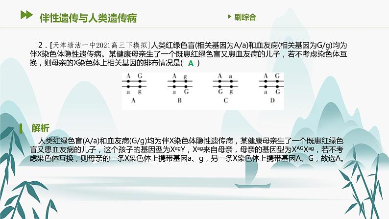 第5章 基因突变及其他变异 伴性遗传与人类遗传病课件PPT第3页