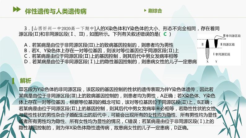 第5章 基因突变及其他变异 伴性遗传与人类遗传病课件PPT第4页