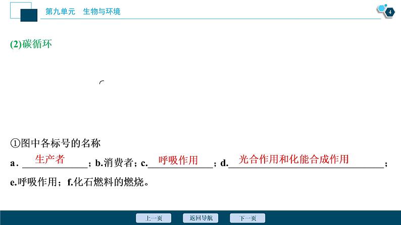 高中生物高考4 第九单元 第31讲 物质循环、信息传递和生态系统的稳定性课件PPT第5页