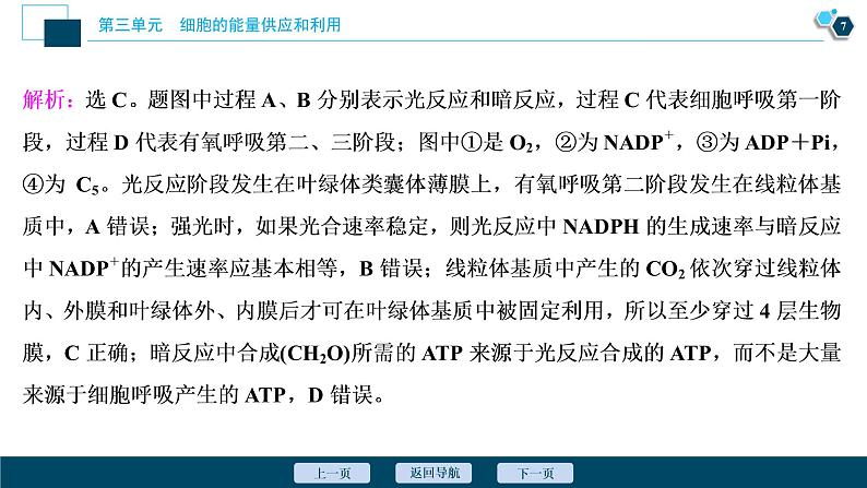 高中生物高考5 第三单元 加强提升课 光合作用与细胞呼吸综合应用课件PPT08