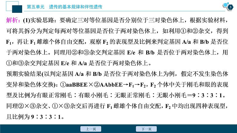 高中生物高考6 第五单元 实验技能(四) 实验的假设和结论课件PPT04