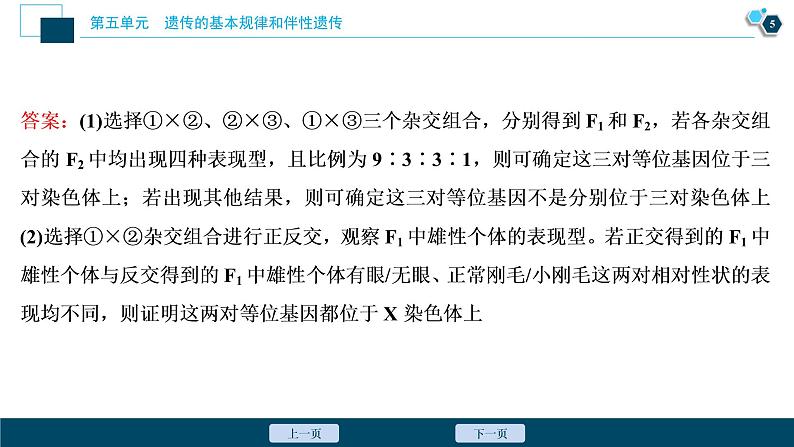 高中生物高考6 第五单元 实验技能(四) 实验的假设和结论课件PPT06