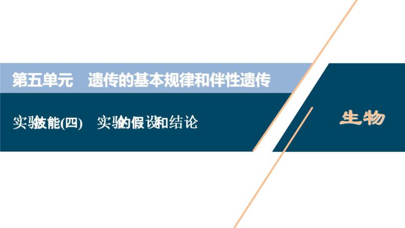 高中生物高考7 实验技能(四)　实验的假设和结论课件PPT01