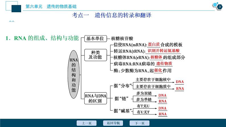 高中生物高考3 第六单元 第19讲 基因的表达课件PPT第4页