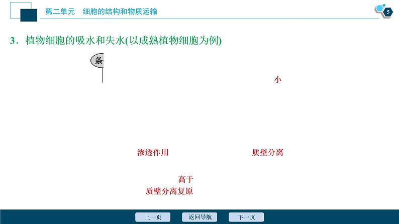 高中生物高考3 第二单元 第7讲 物质跨膜运输的实例和方式课件PPT06