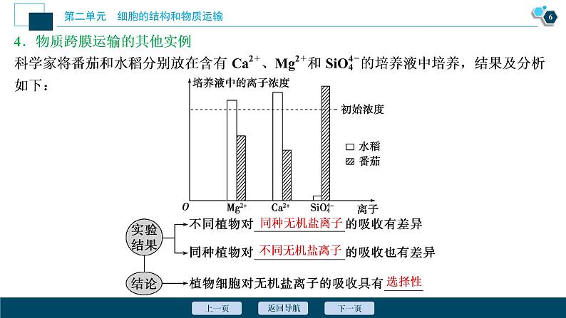 高中生物高考3 第二单元 第7讲 物质跨膜运输的实例和方式课件PPT07