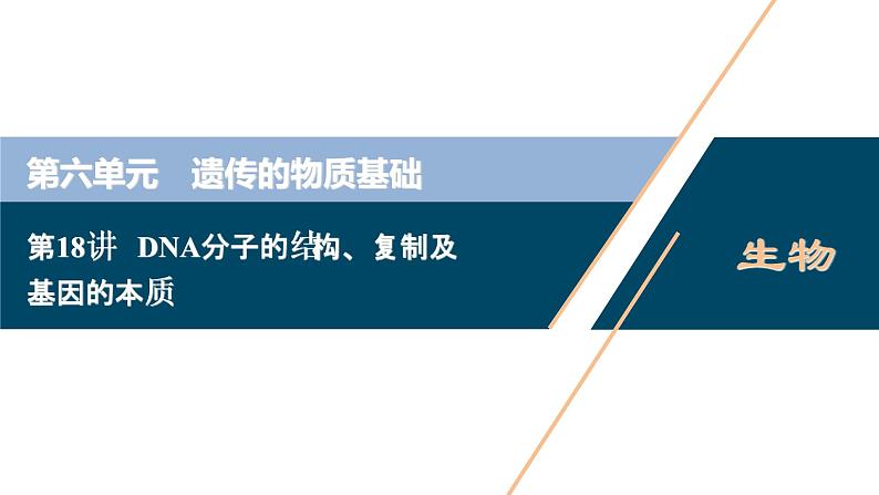 高中生物高考2 第六单元 第18讲 DNA分子的结构、复制及基因的本质课件PPT第1页