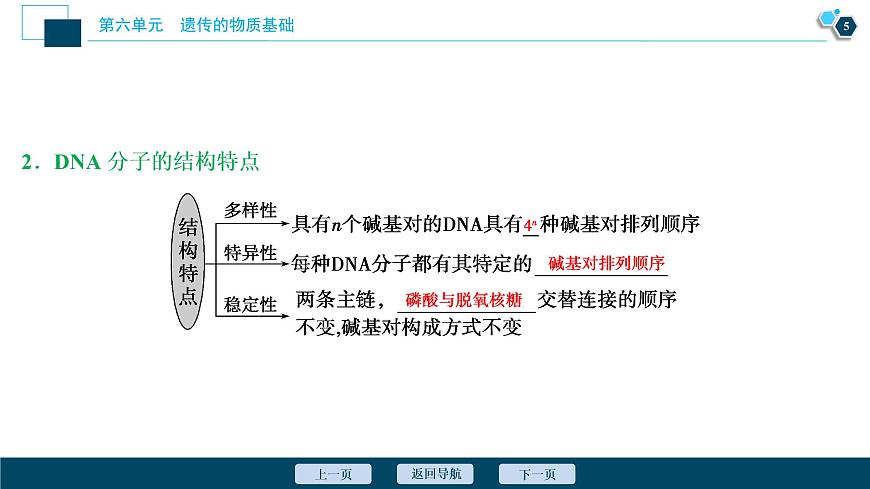 高中生物高考2　第六單元　第18講　DNA分子的結(jié)構(gòu)、復(fù)制及基因的本質(zhì)課件PPT第6頁