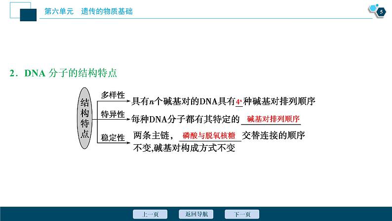 高中生物高考2 第六单元 第18讲 DNA分子的结构、复制及基因的本质课件PPT第6页