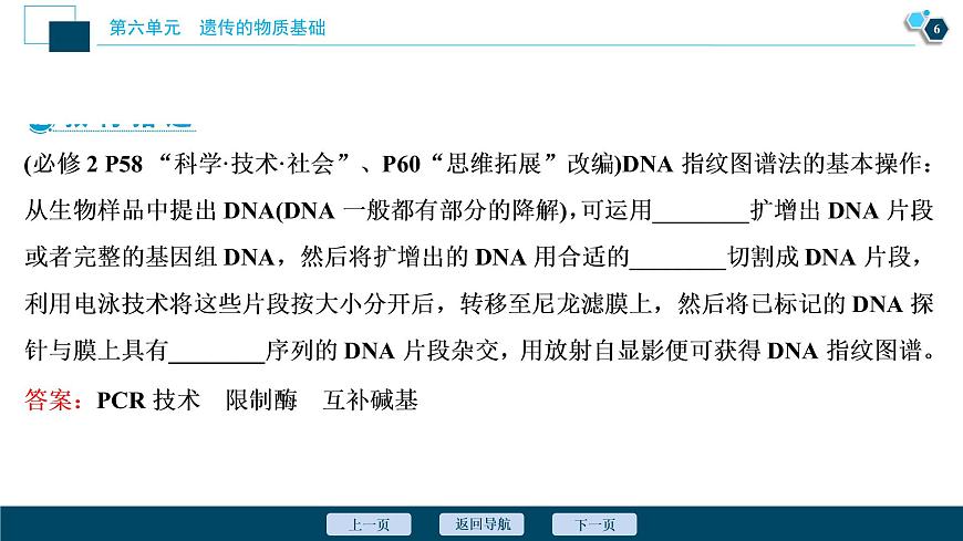 高中生物高考2　第六單元　第18講　DNA分子的結(jié)構(gòu)、復(fù)制及基因的本質(zhì)課件PPT第7頁