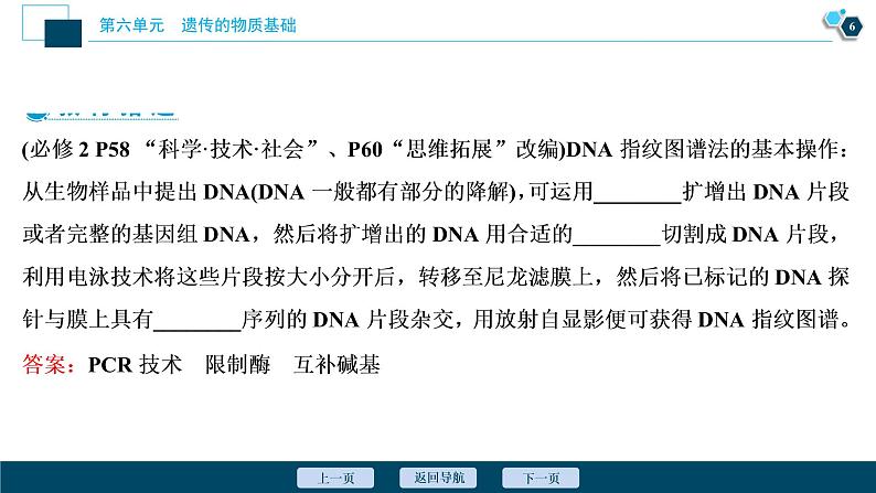 高中生物高考2 第六单元 第18讲 DNA分子的结构、复制及基因的本质课件PPT第7页