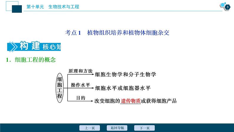 高中生物高考3 第35讲 细胞工程课件PPT第4页