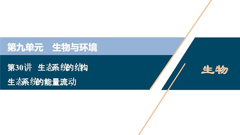 高中生物高考3 第30讲 生态系统的结构 生态系统的能量流动课件PPT01