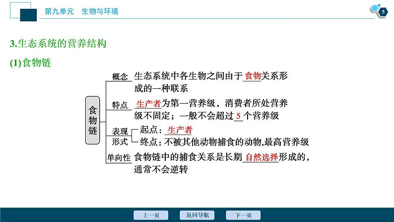 高中生物高考3 第30讲 生态系统的结构 生态系统的能量流动课件PPT06