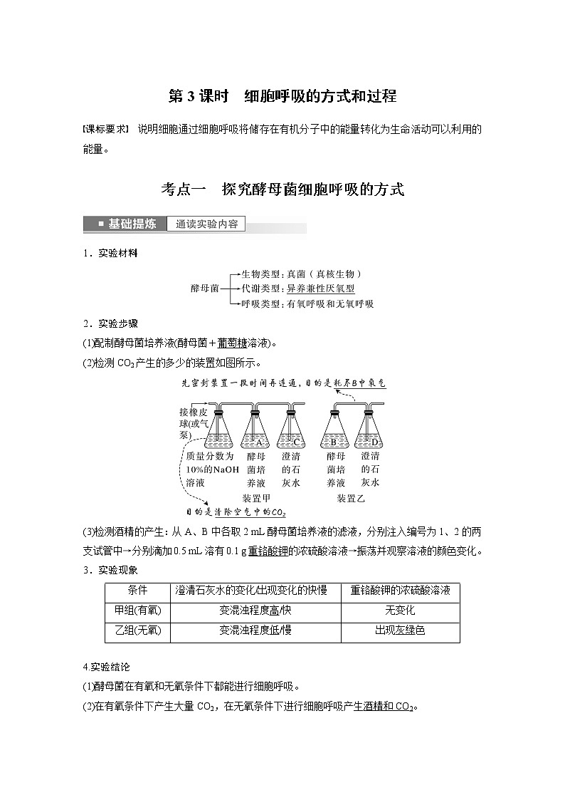 高中生物高考2023年高考生物一轮复习(新人教新高考) 第3单元 第3课时 细胞呼吸的方式和过程第1页