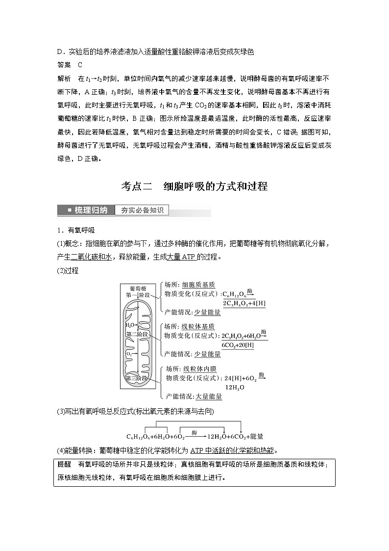 高中生物高考2023年高考生物一轮复习(新人教新高考) 第3单元 第3课时 细胞呼吸的方式和过程第3页