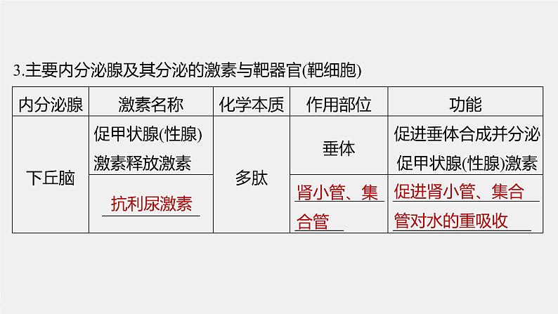 高中生物高考2022年高考生物一轮复习 第8单元 第25讲 通过激素的调节 神经调节与体液调节的关系课件PPT第7页