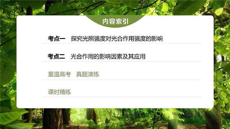 高中生物高考2023年高考生物一轮复习(新人教新高考) 第3单元 第7课时 光合作用的影响因素及其应用课件PPT第3页