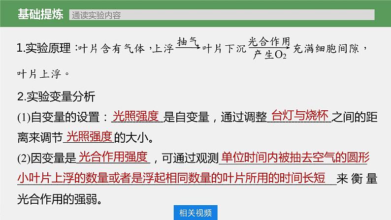 高中生物高考2023年高考生物一轮复习(新人教新高考) 第3单元 第7课时 光合作用的影响因素及其应用课件PPT第5页