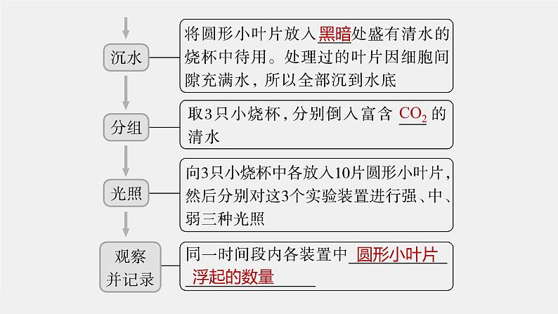 高中生物高考2023年高考生物一轮复习(新人教新高考) 第3单元 第7课时 光合作用的影响因素及其应用课件PPT第8页