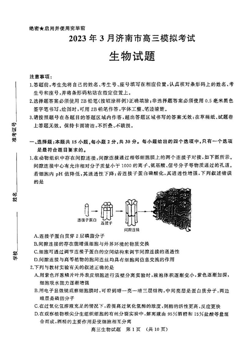 2023届山东省济南市高三下学期一模考试生物试题及答案01