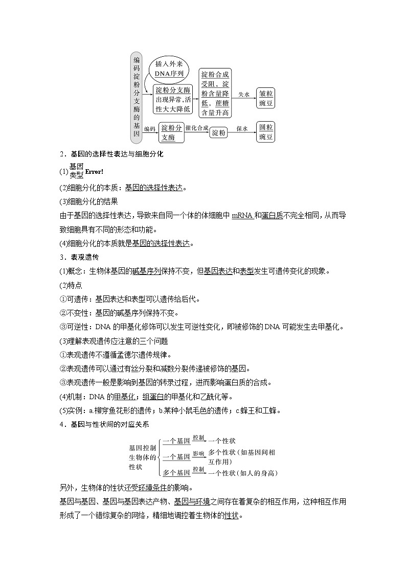 高中生物高考2023年高考生物一轮复习(新人教新高考) 第6单元 第5课时 基因表达与性状的关系 试卷02