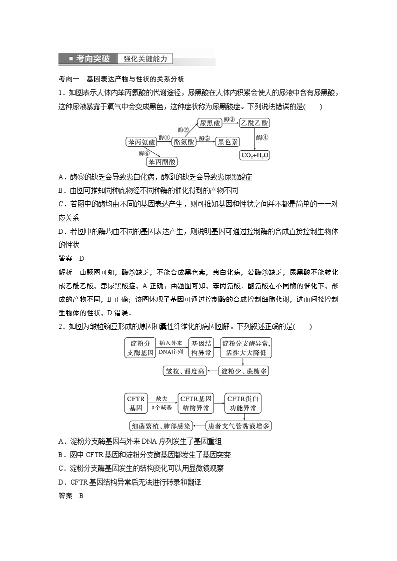 高中生物高考2023年高考生物一轮复习(新人教新高考) 第6单元 第5课时 基因表达与性状的关系 试卷03